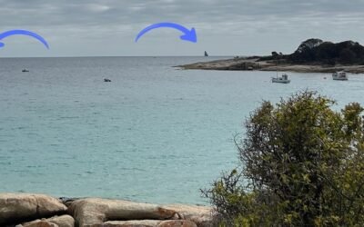 Exploring and Yacht Spotting