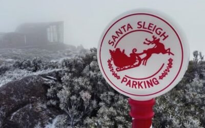 Merry (White) Christmas 🎄🎅