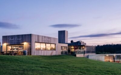 Devil’s Corner Winery