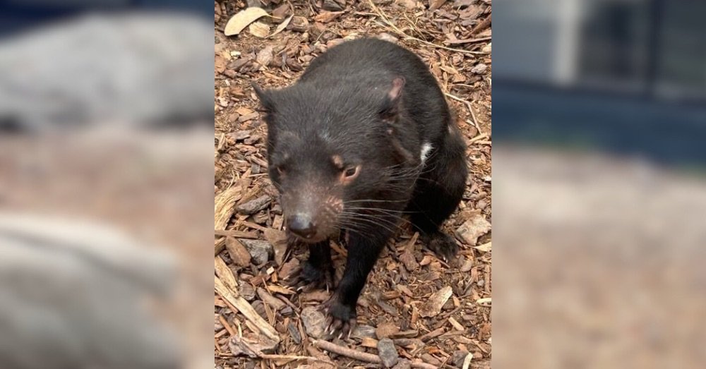 Last day in Bicheno.